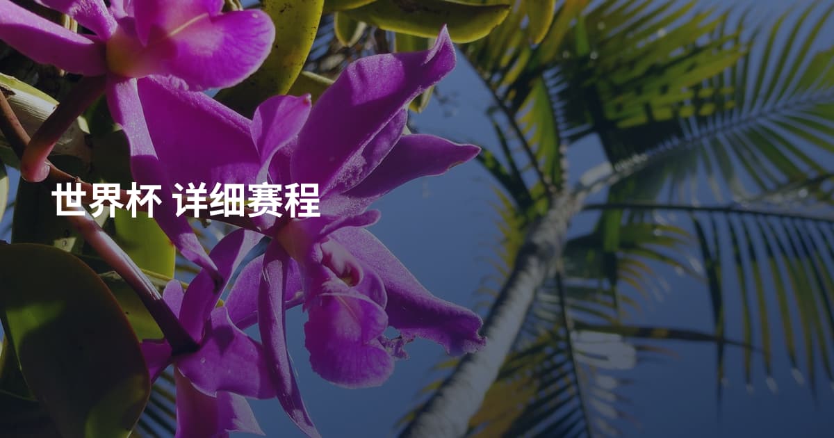 世界杯 详细赛程