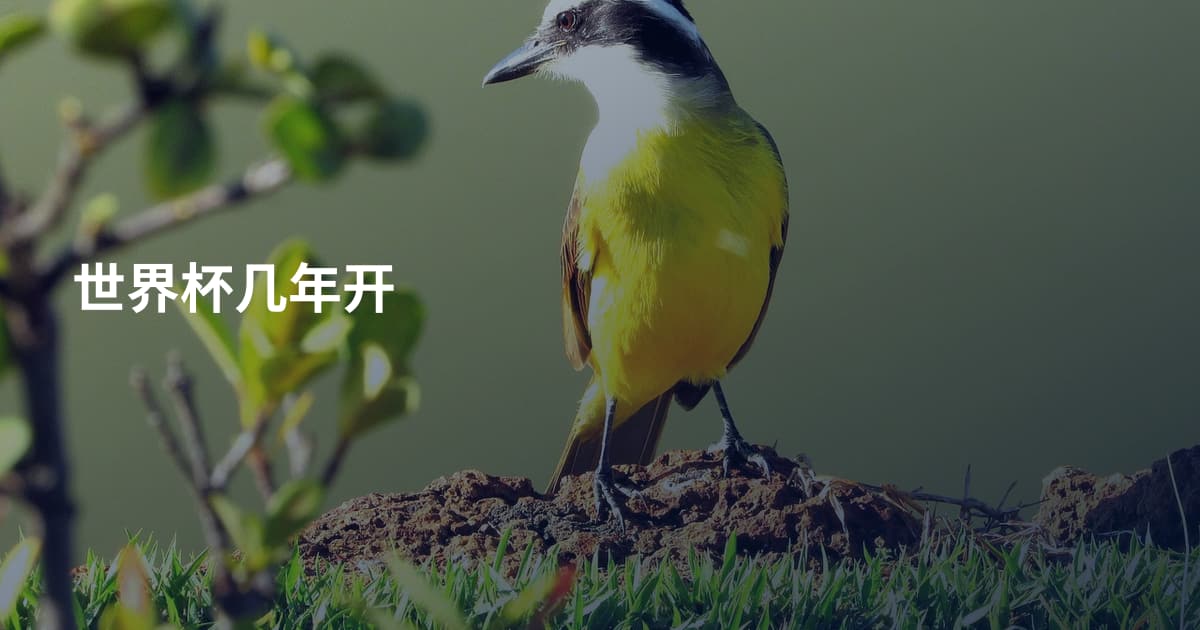 世界杯几年开