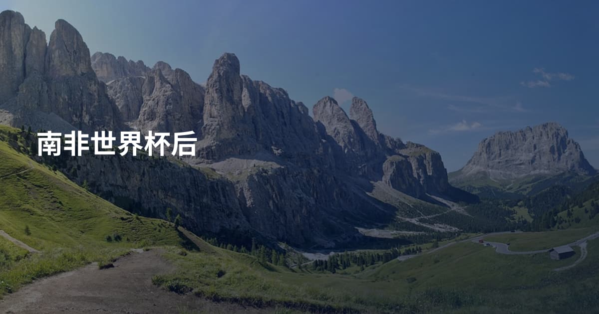南非世界杯后