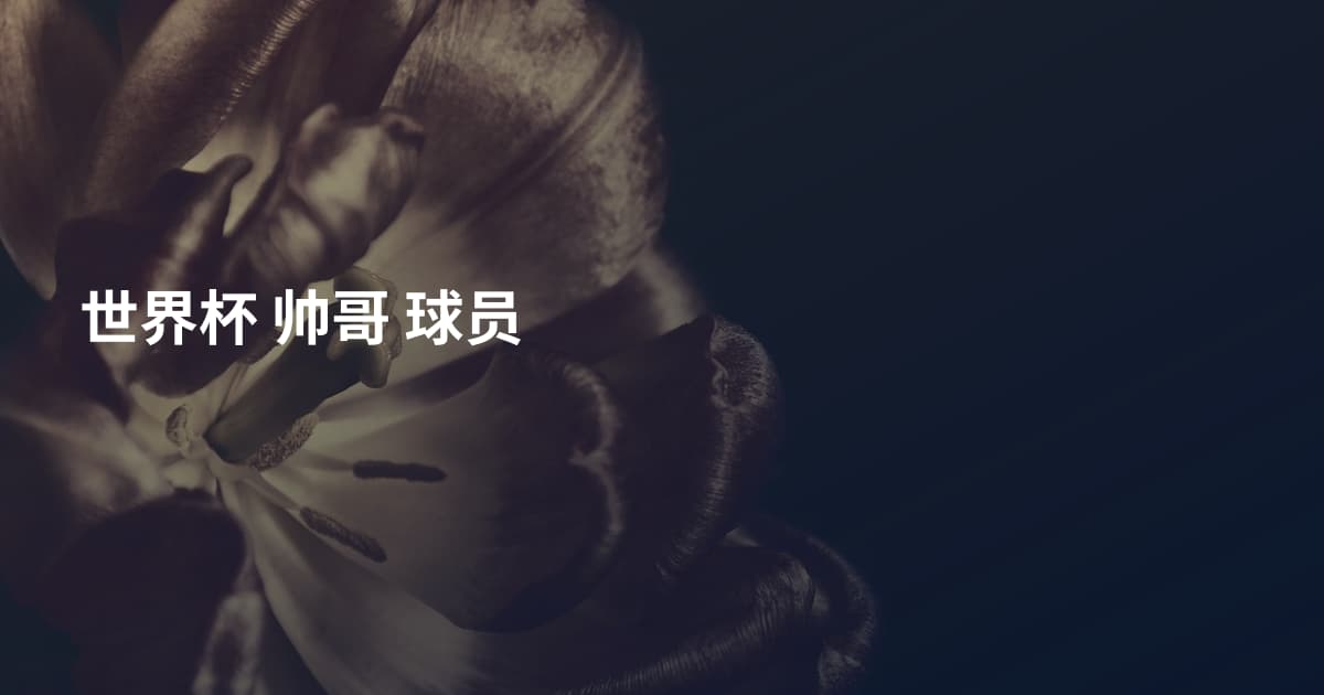 世界杯 帅哥 球员