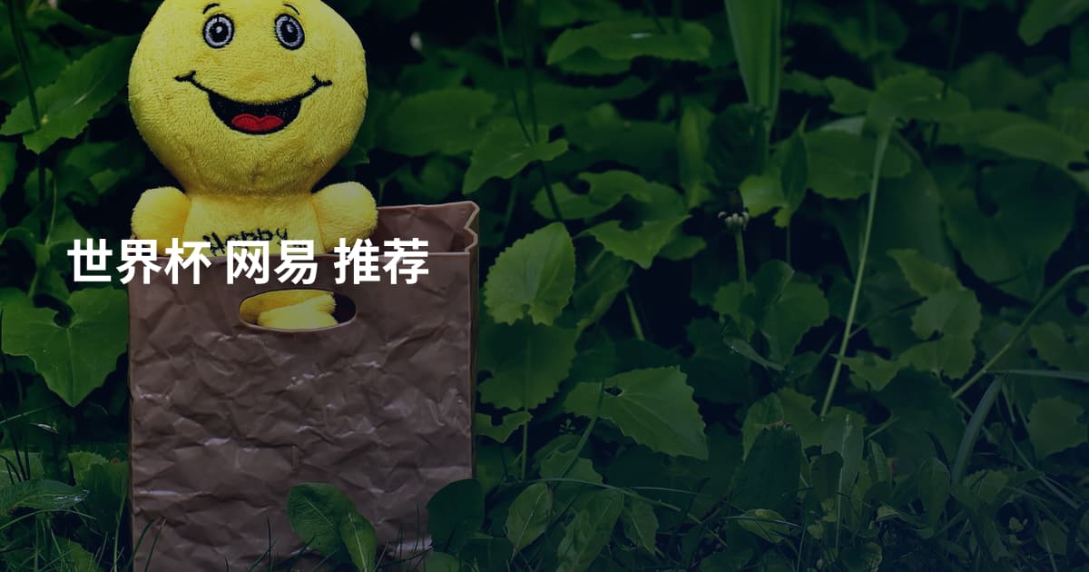 世界杯 网易 推荐