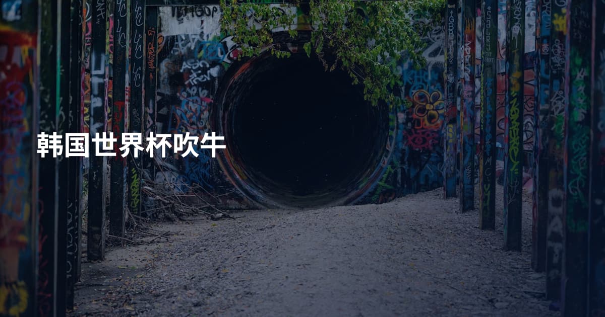 韩国世界杯吹牛