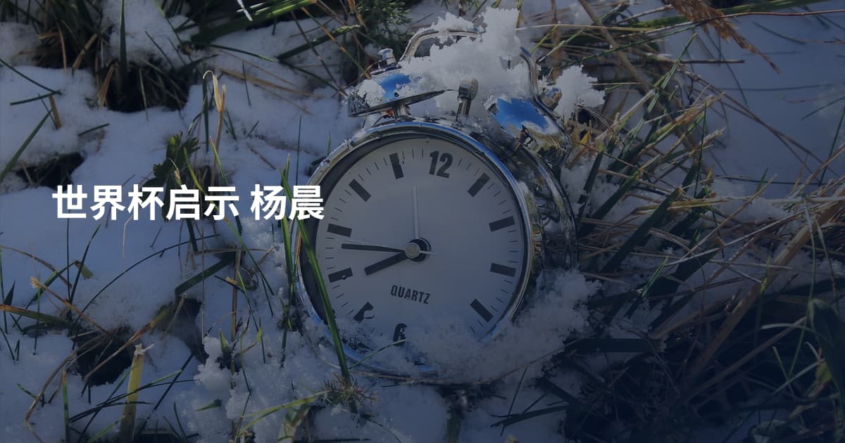 世界杯启示 杨晨