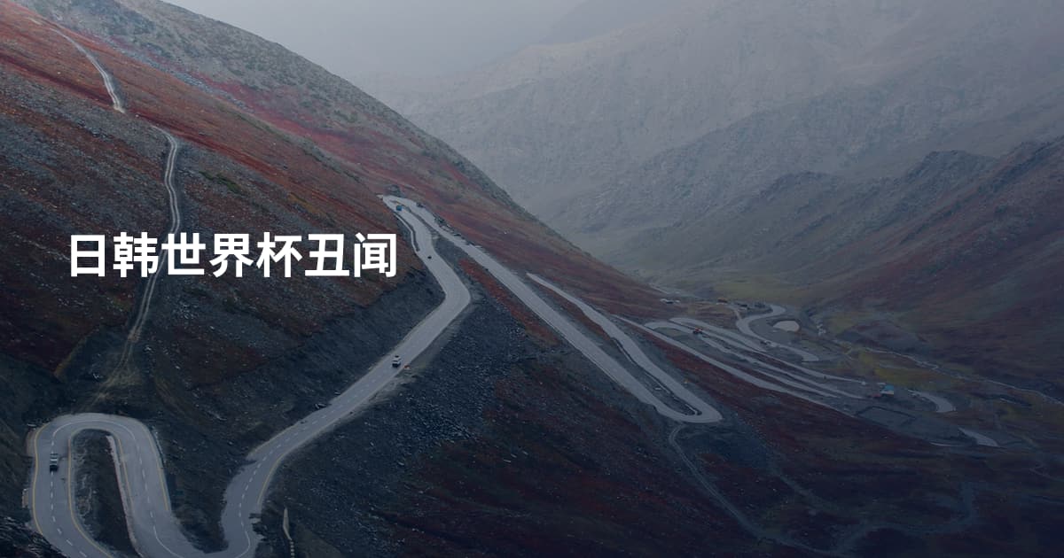 日韩世界杯丑闻