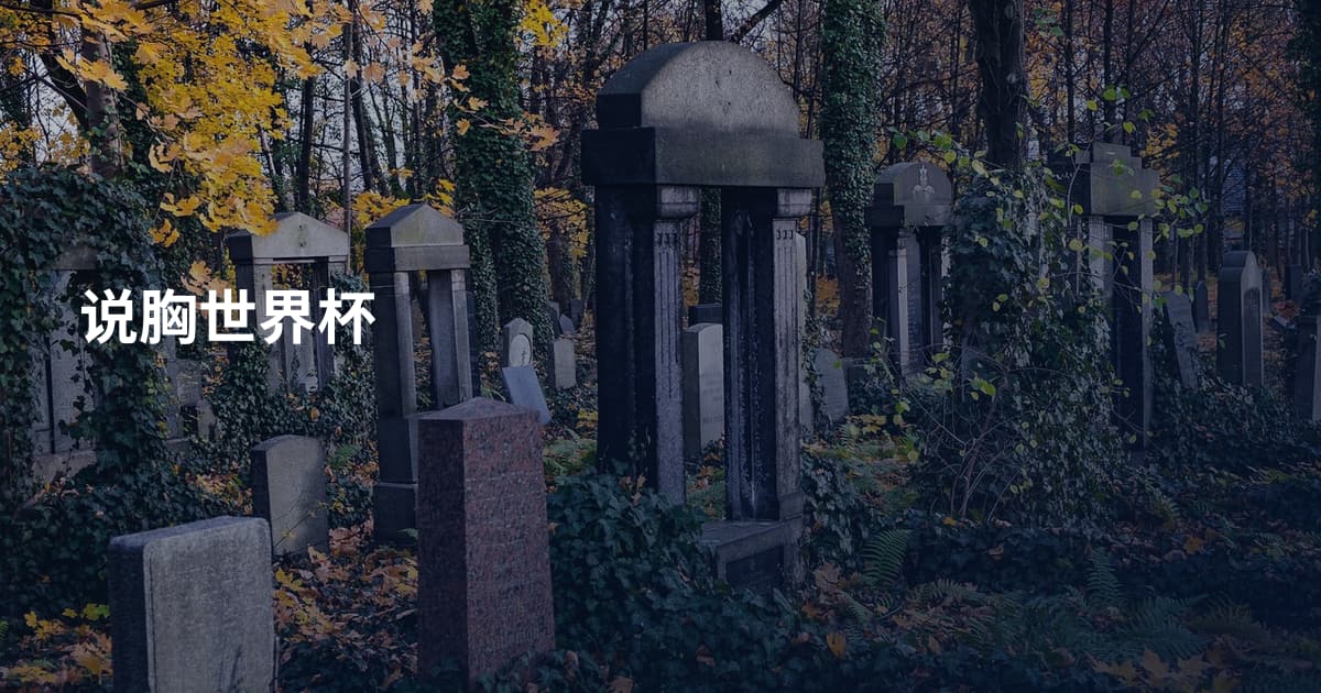 说胸世界杯