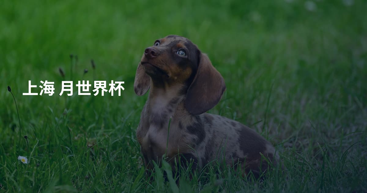 上海 月世界杯