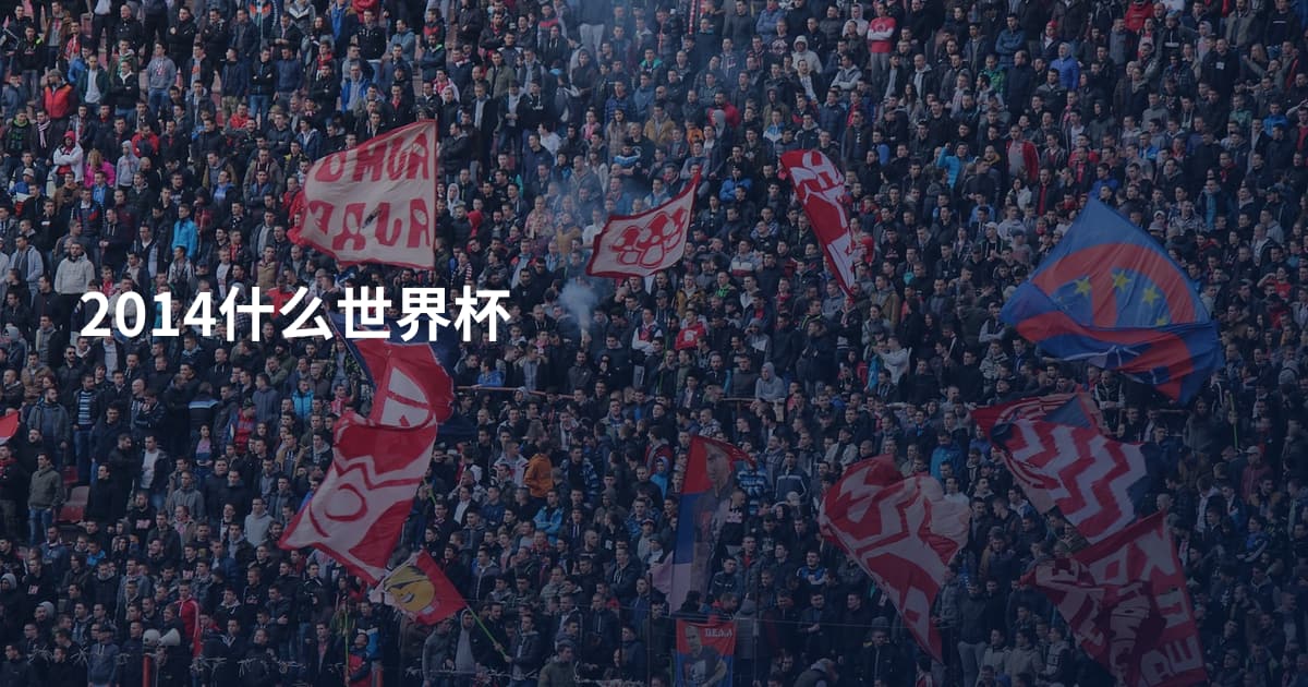 2014什么世界杯