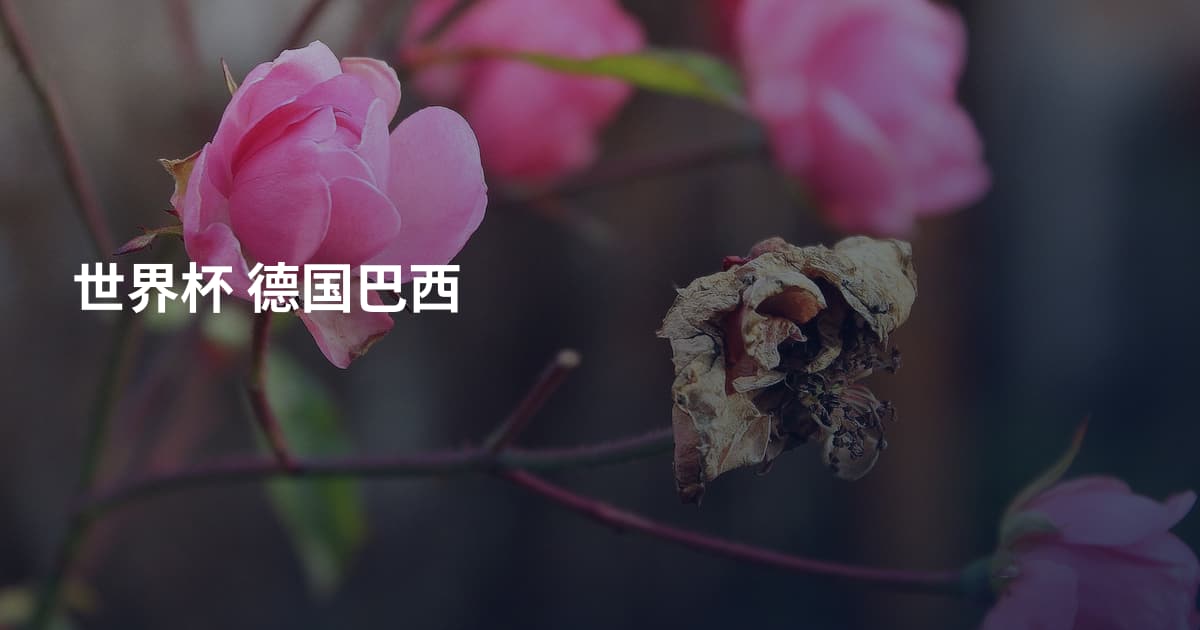 世界杯 德国巴西