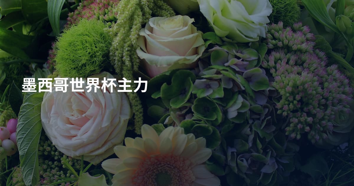 墨西哥世界杯主力