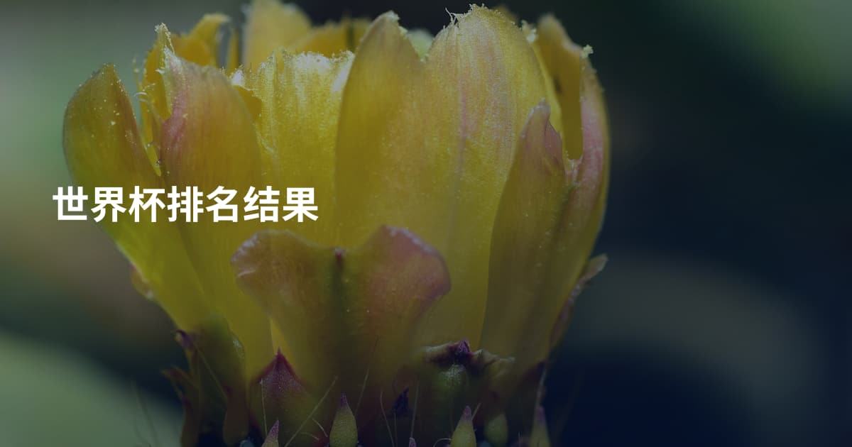 世界杯排名结果
