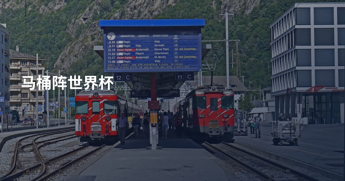 马桶阵世界杯