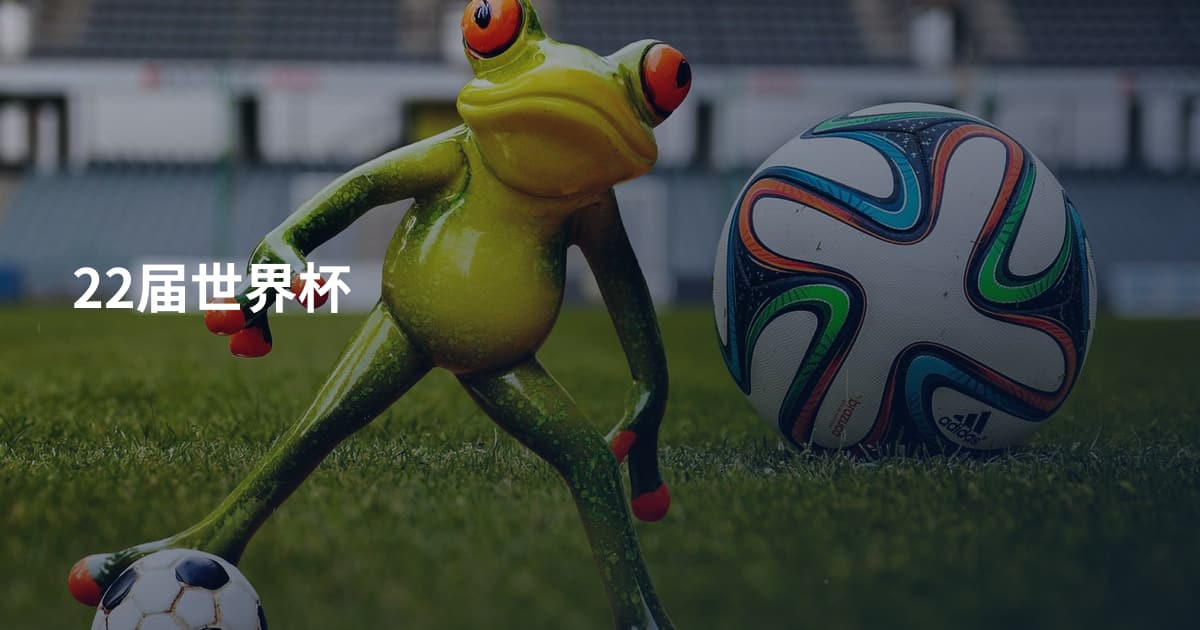 22届世界杯