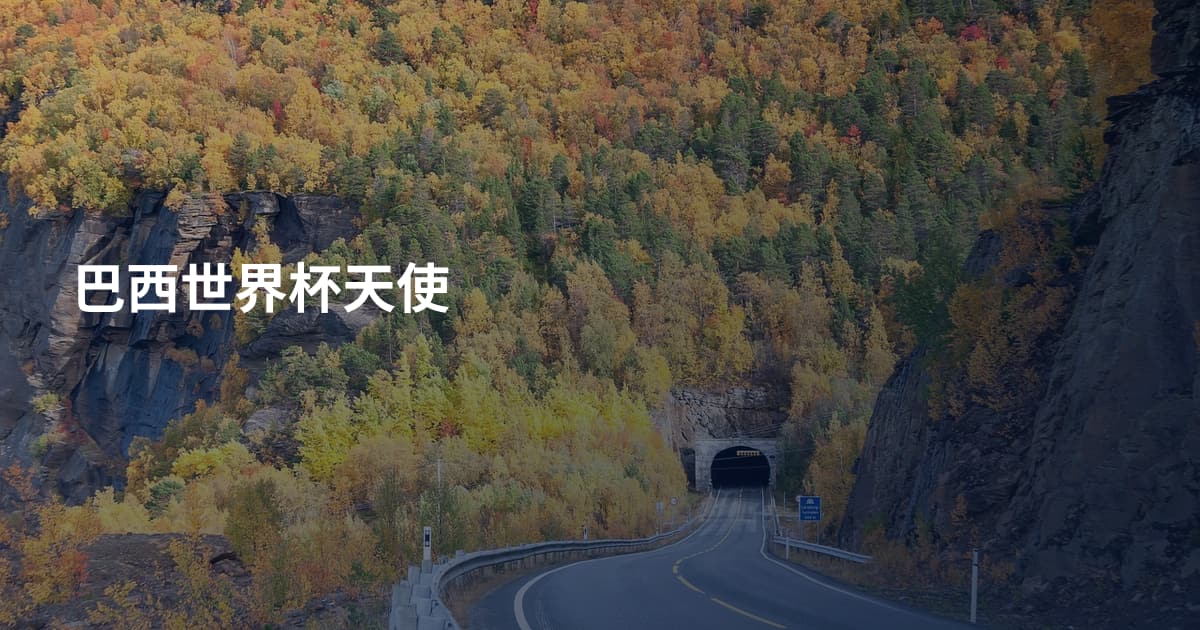 巴西世界杯天使