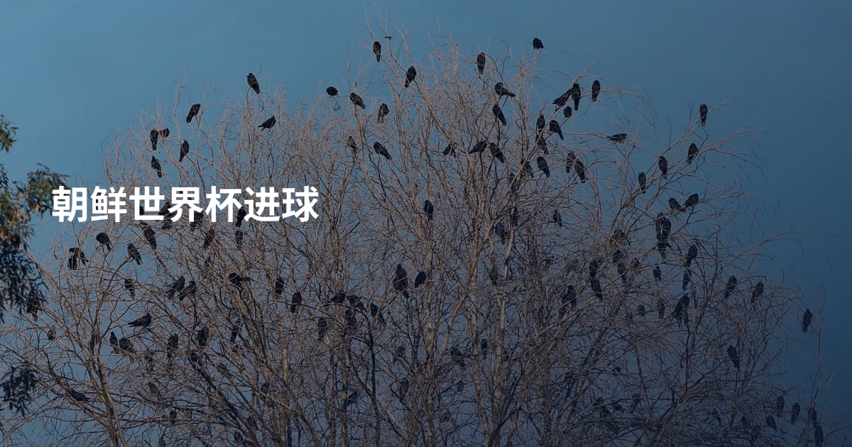 朝鲜世界杯进球
