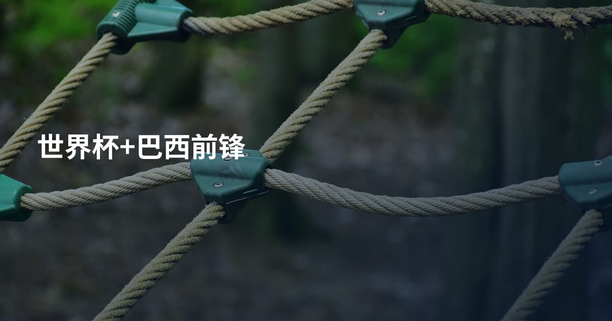 世界杯+巴西前锋