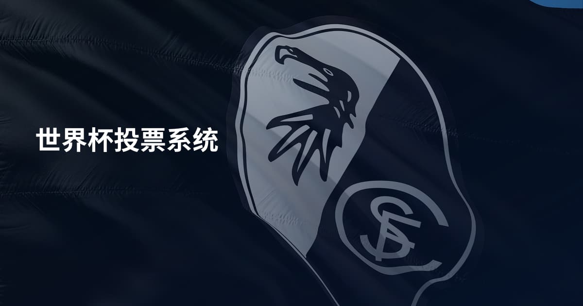世界杯投票系统