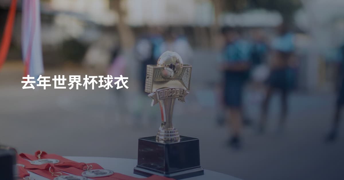 去年世界杯球衣