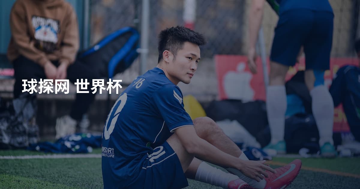 球探网 世界杯