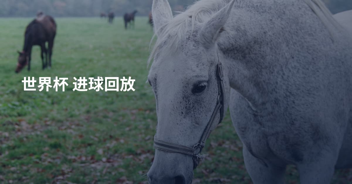 世界杯 进球回放