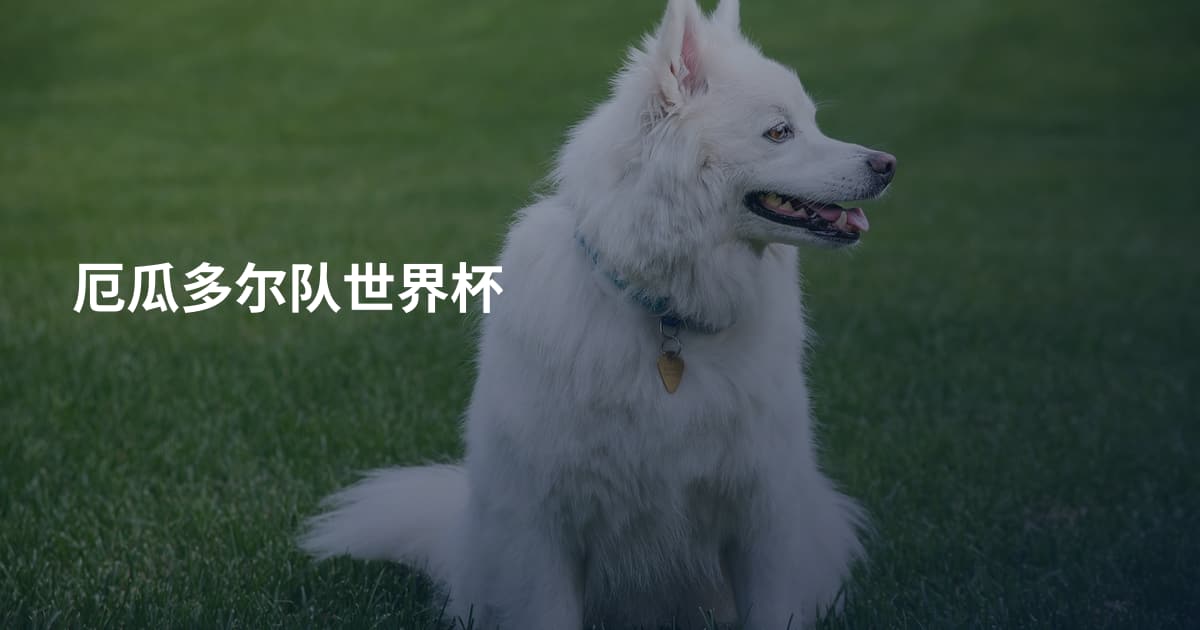 厄瓜多尔队世界杯