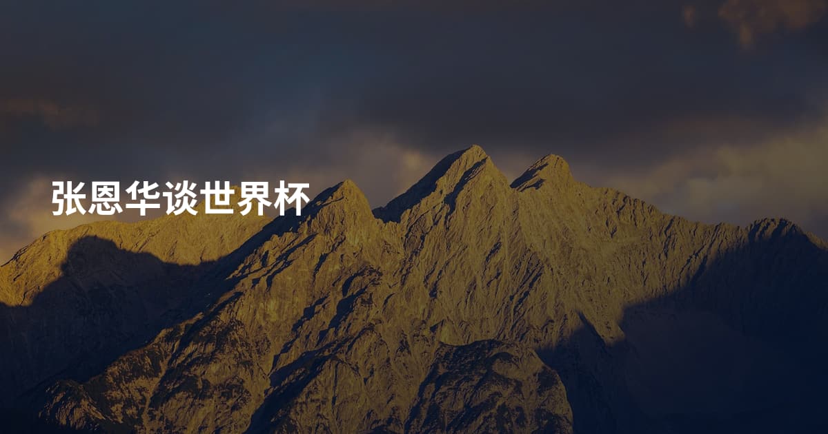 张恩华谈世界杯