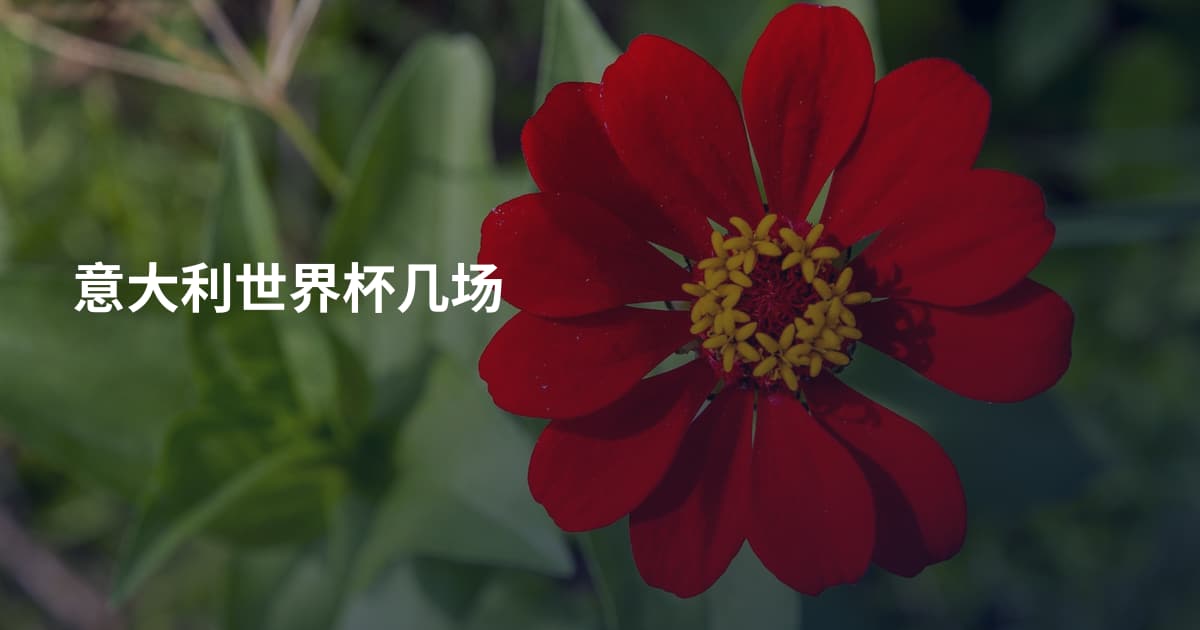 意大利世界杯几场
