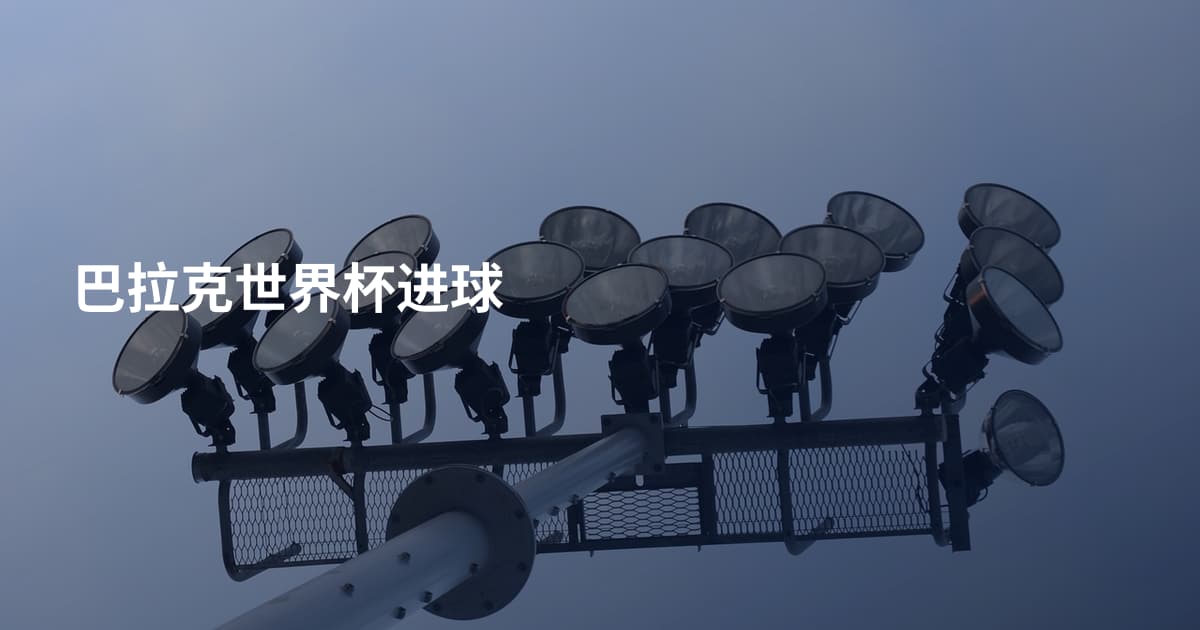 巴拉克世界杯进球