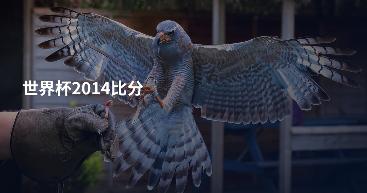 世界杯2014比分
