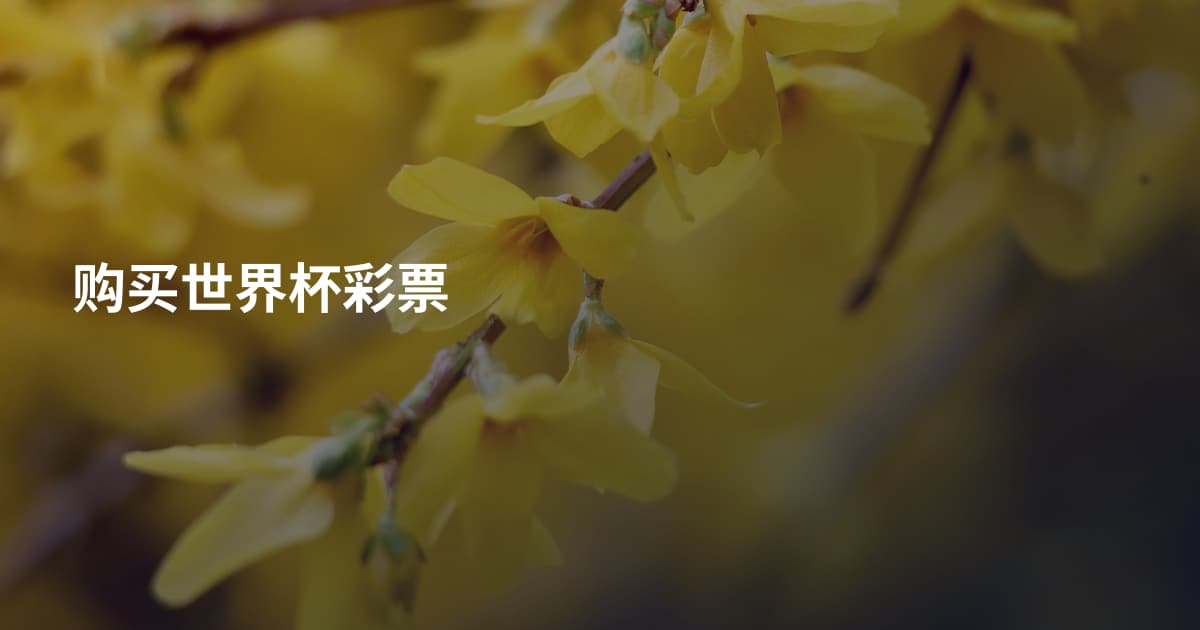购买世界杯彩票