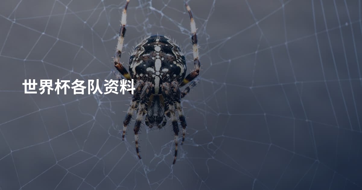 世界杯各队资料