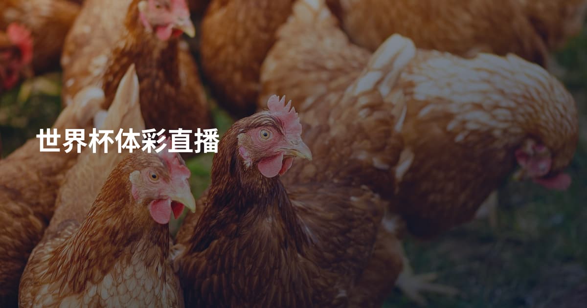 世界杯体彩直播