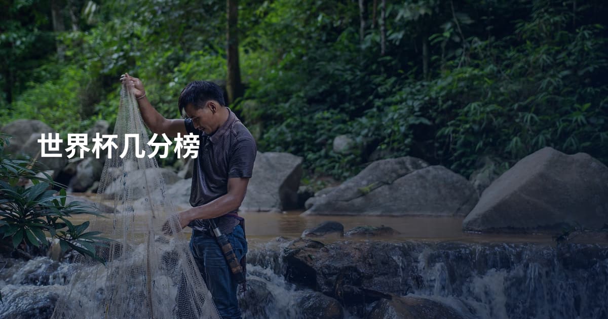 世界杯几分榜