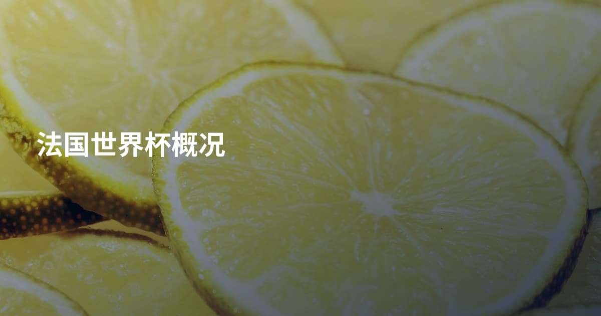 法国世界杯概况