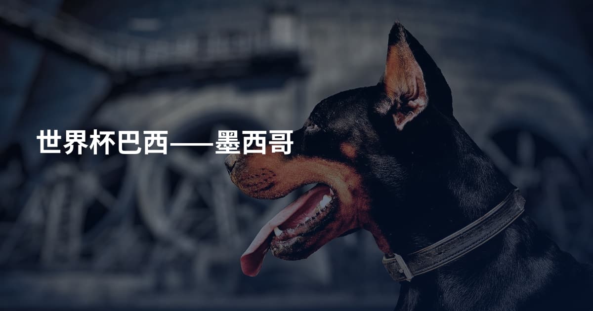 世界杯巴西——墨西哥