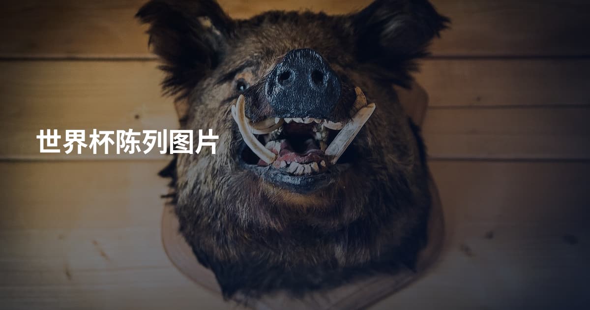 世界杯陈列图片