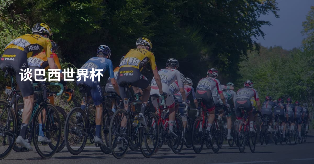 谈巴西世界杯