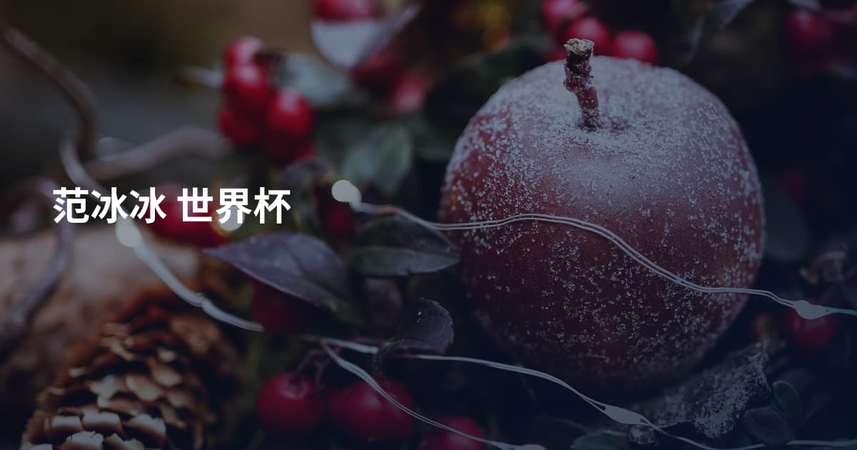 范冰冰 世界杯