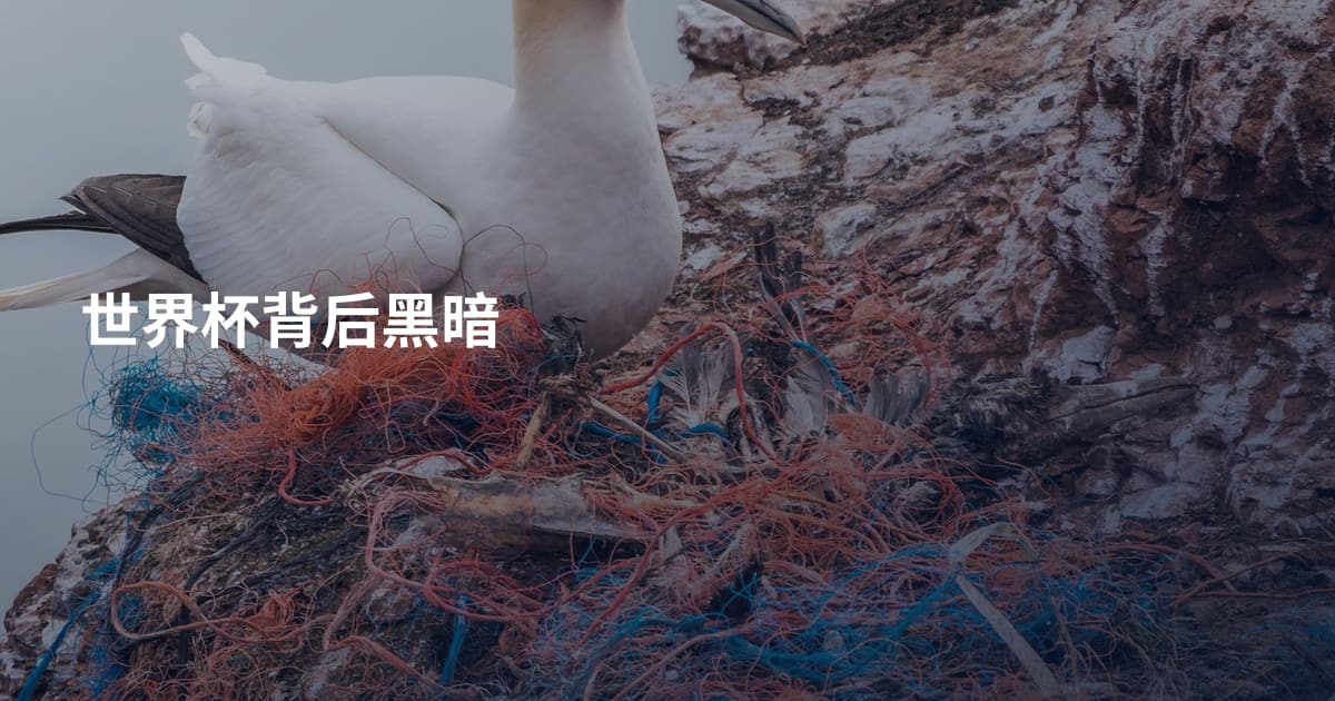 世界杯背后黑暗
