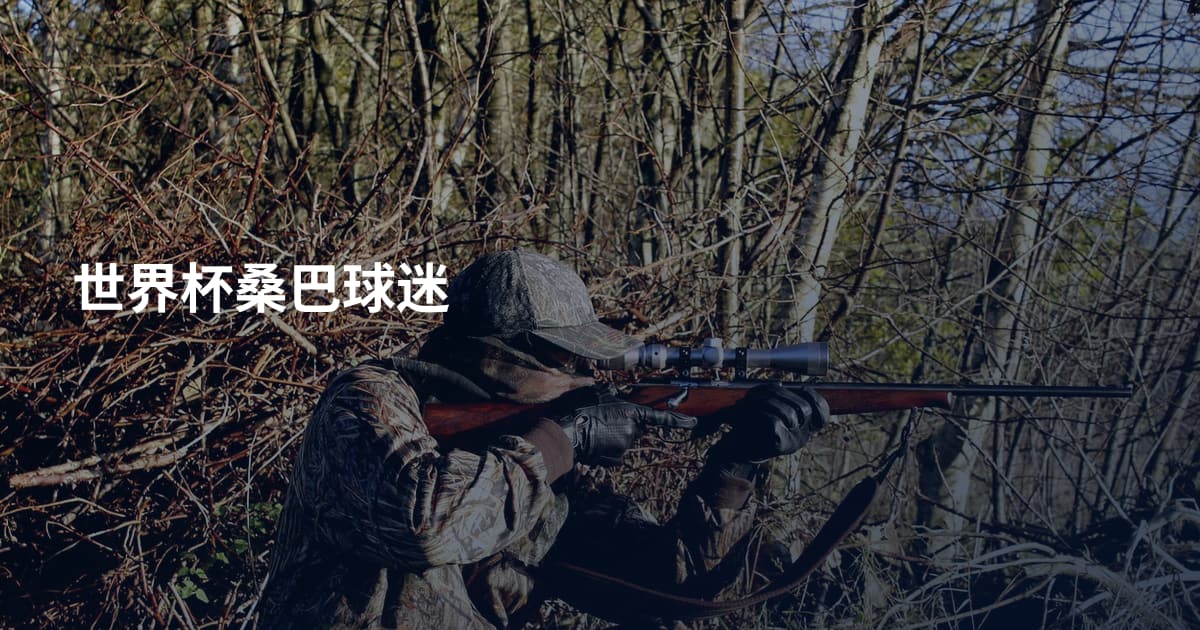 世界杯桑巴球迷