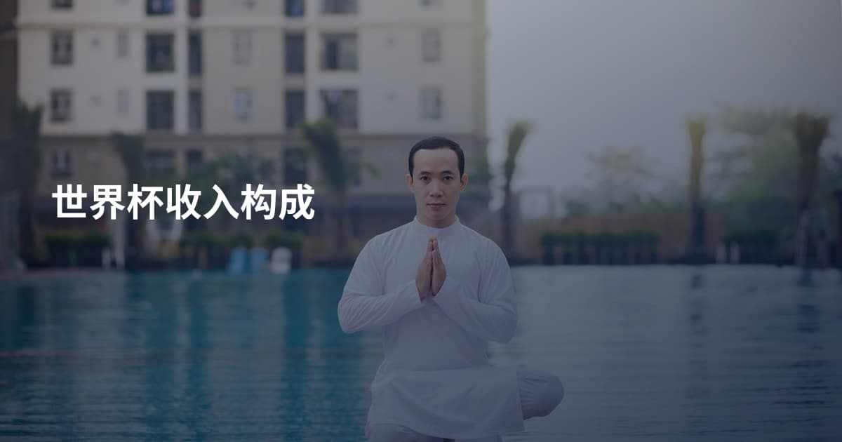 世界杯收入构成