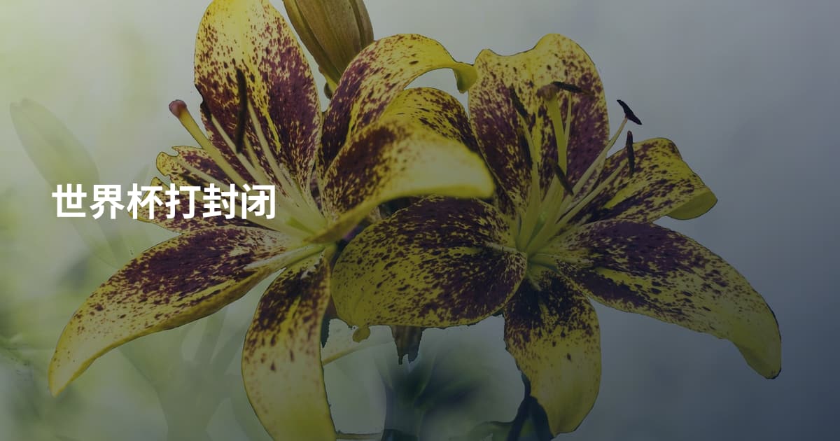 世界杯打封闭