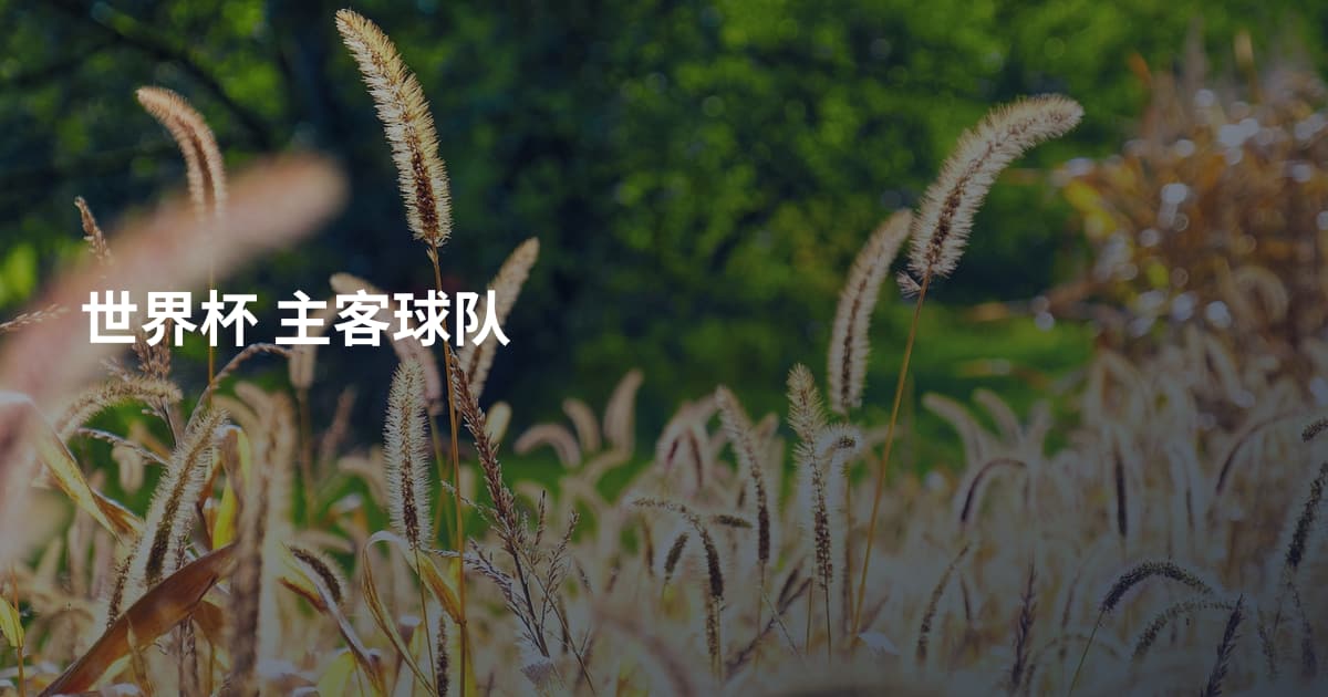 世界杯 主客球队