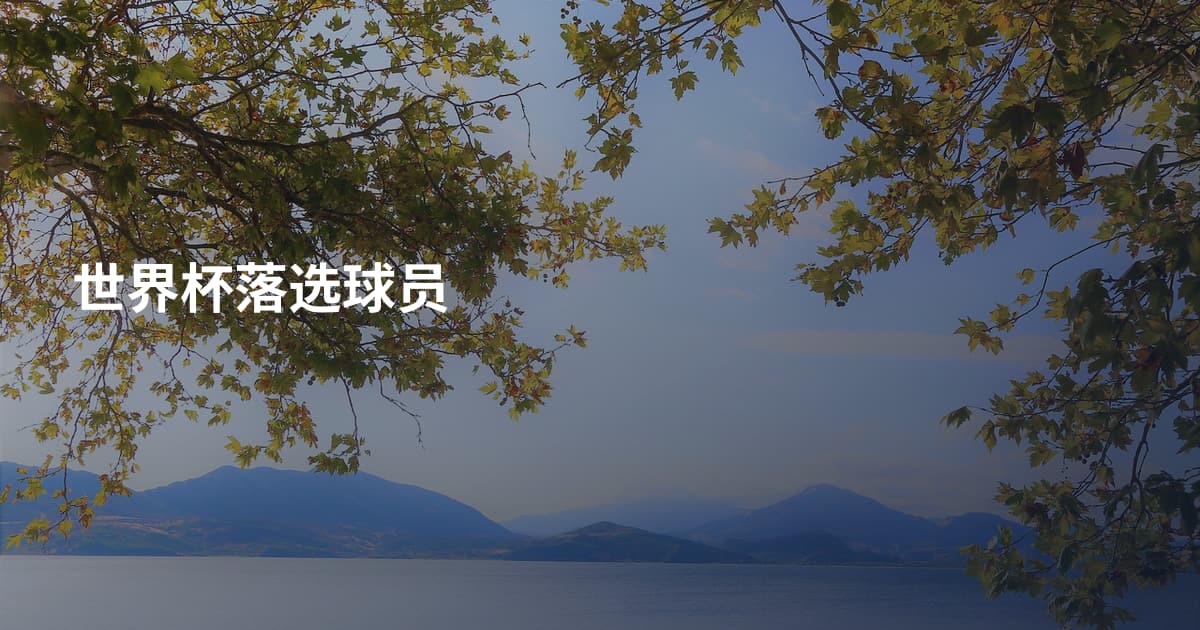 世界杯落选球员