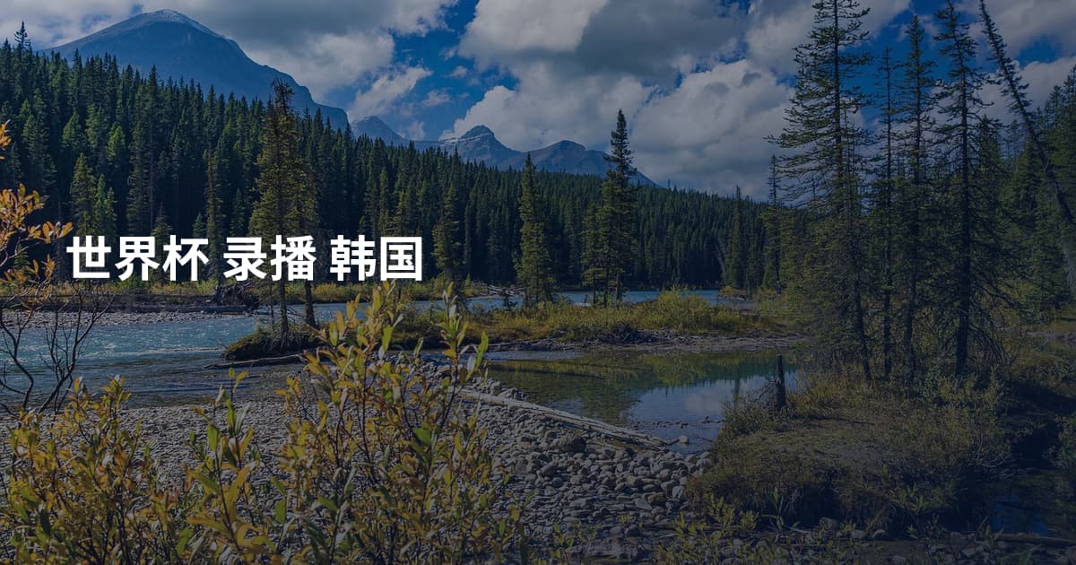 世界杯 录播 韩国