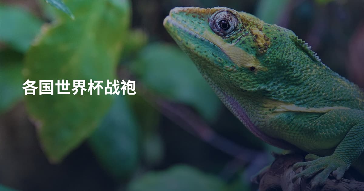 各国世界杯战袍
