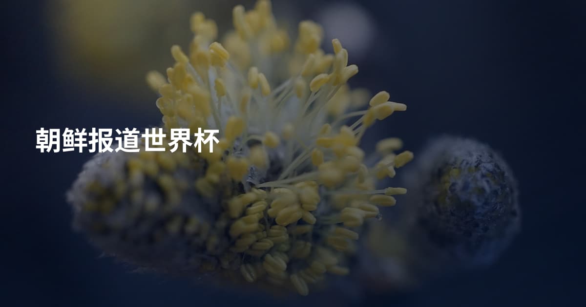 朝鲜报道世界杯