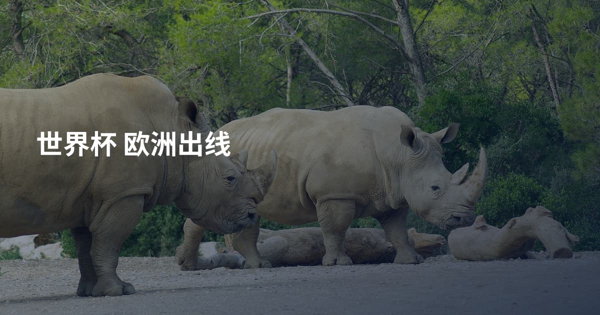 世界杯 欧洲出线