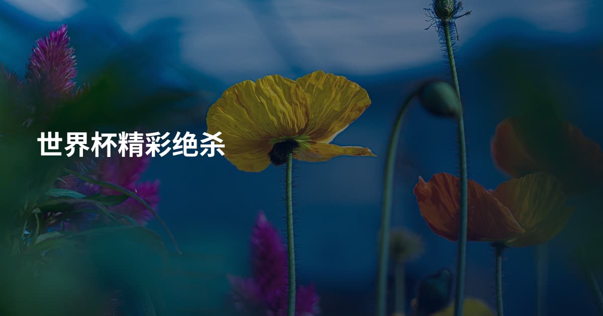世界杯精彩绝杀