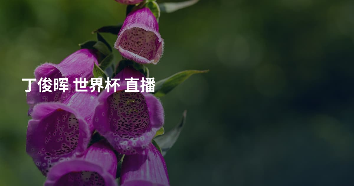丁俊晖 世界杯 直播
