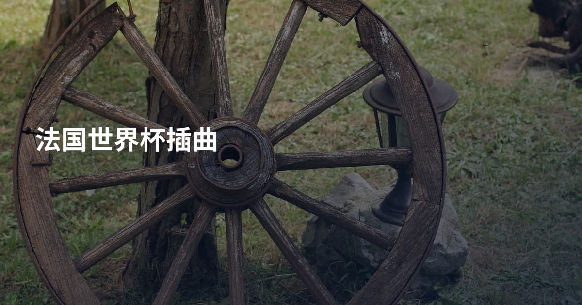 法国世界杯插曲